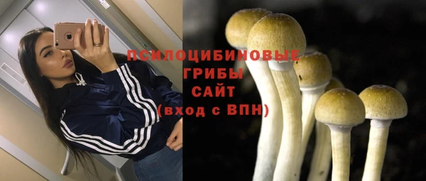 каннабис Алзамай